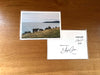 Sea Cows (Postcard)