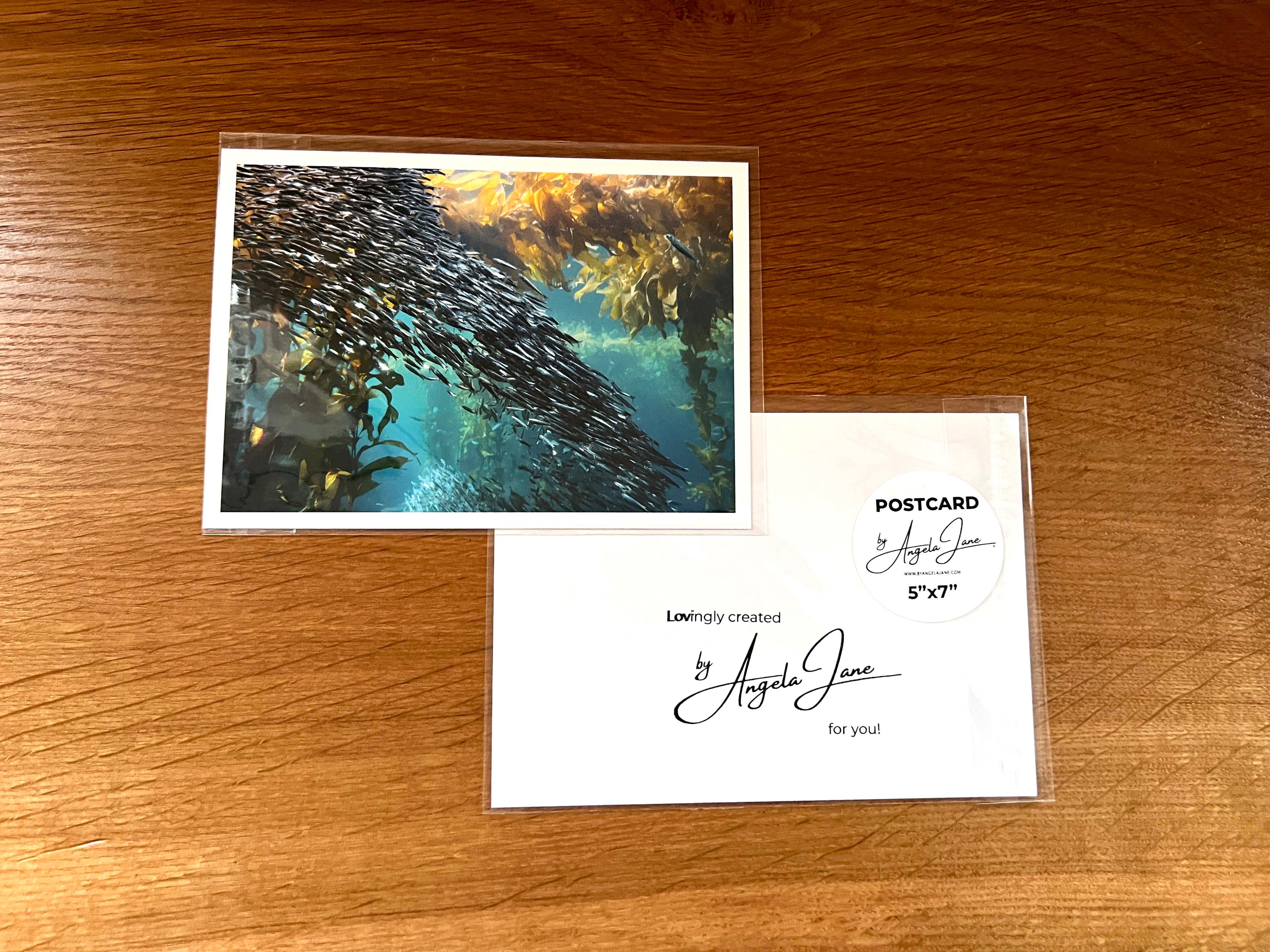 Shoal of Fish (Postcard)