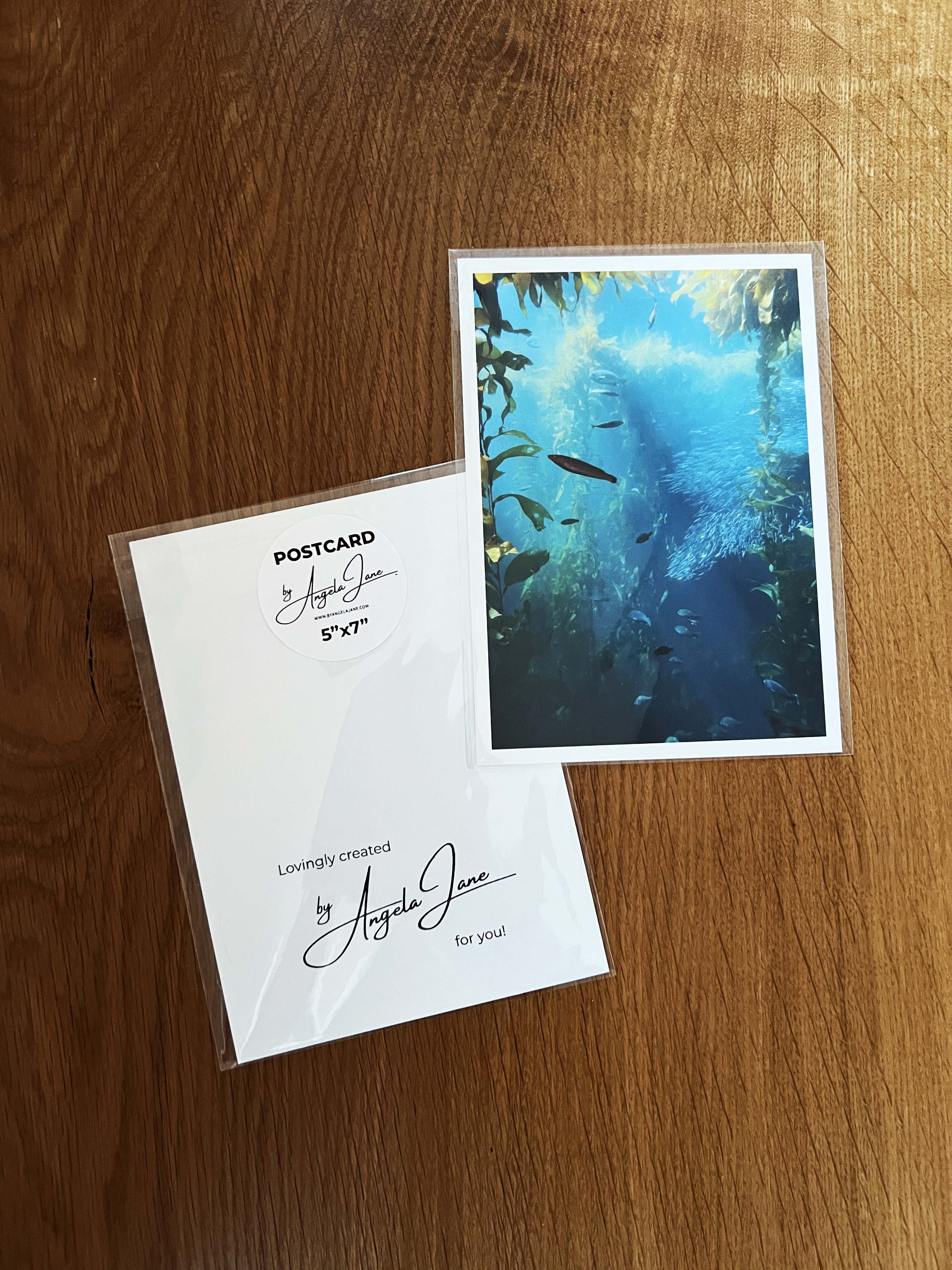 Under the Sea (Postcard)