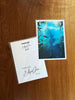 Under the Sea (Postcard)