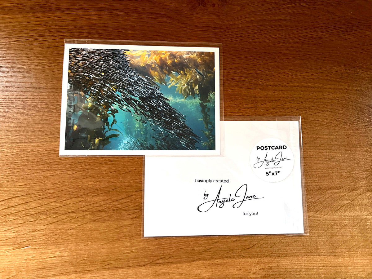 Shoal of Fish (Postcard)