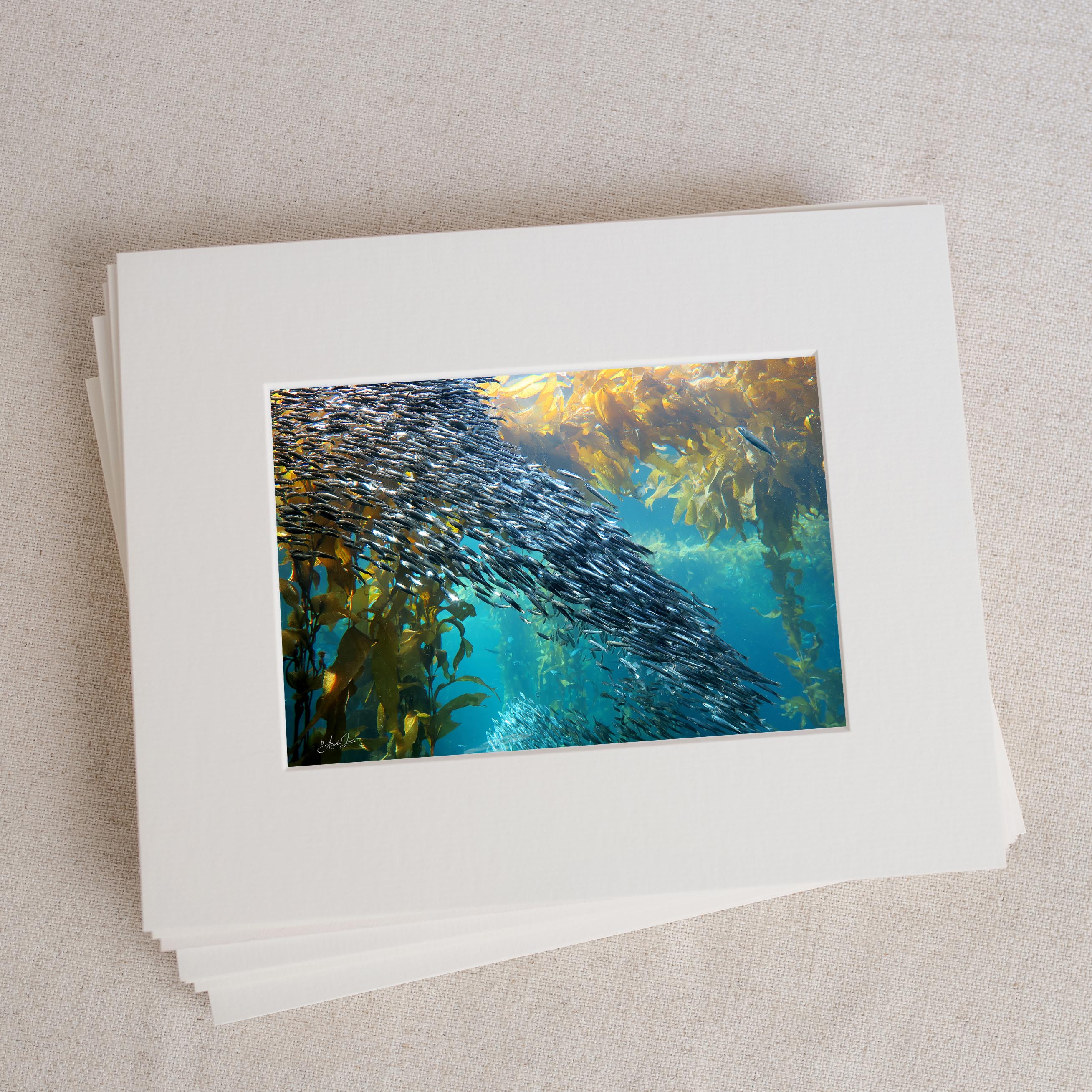 Shoal of Fish