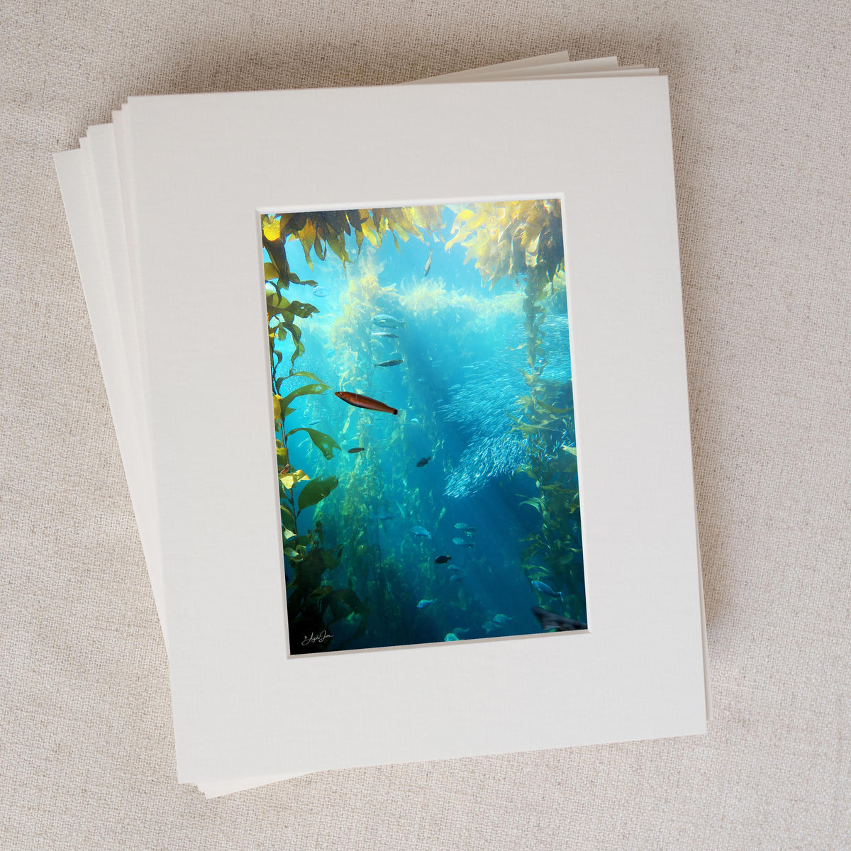 Under the Sea